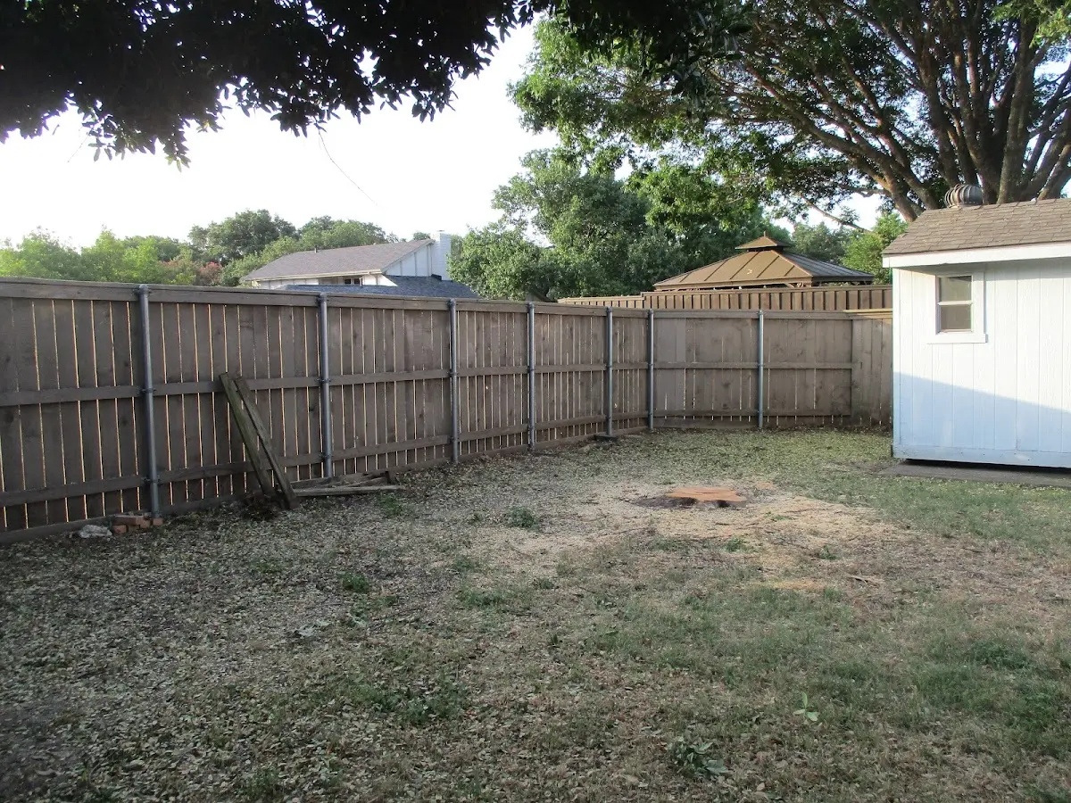 Cleared yard after professional tree removal in Ranchos De Taos